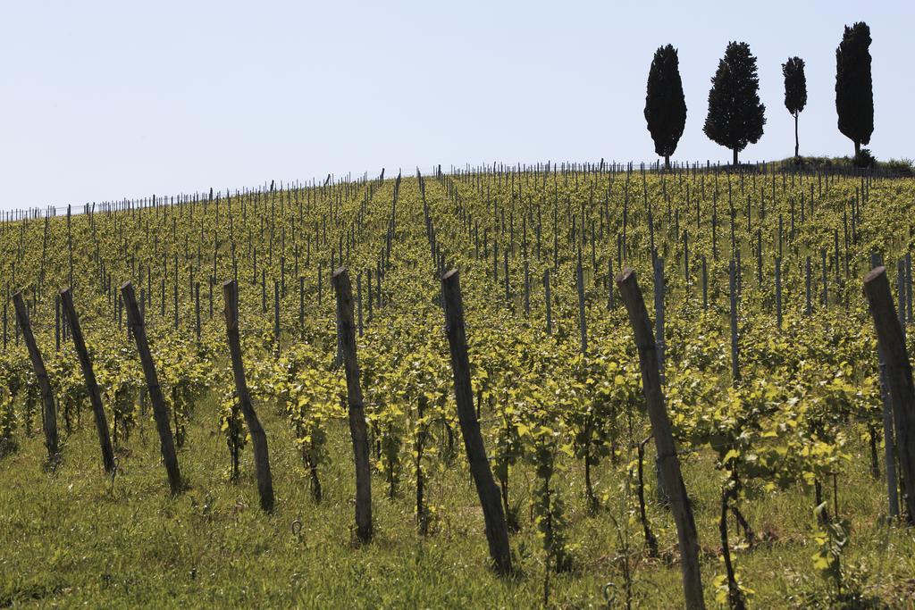 Le Buche Wine Resort&Spa Macciano Kültér fotó