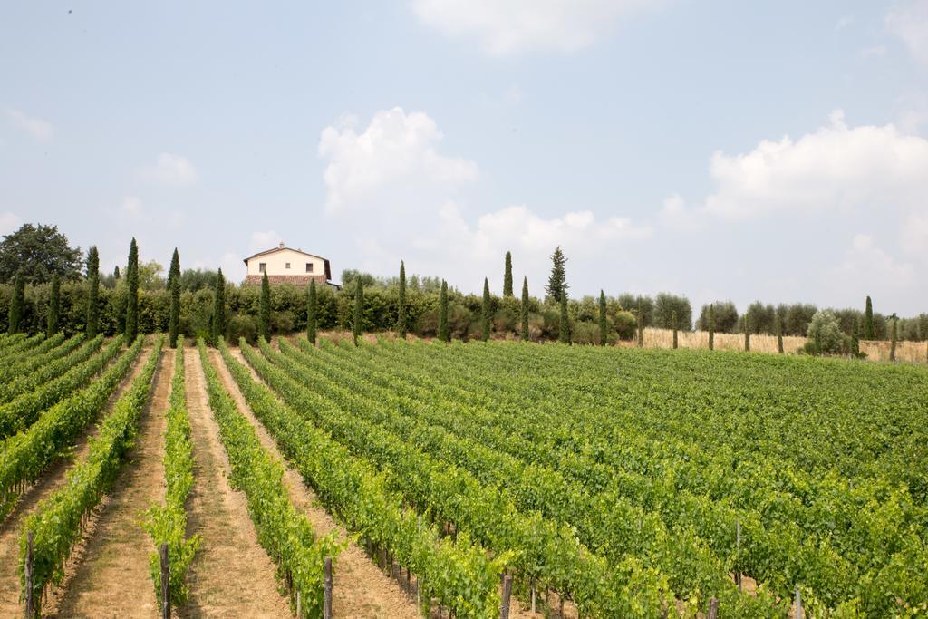 Le Buche Wine Resort&Spa Macciano Kültér fotó