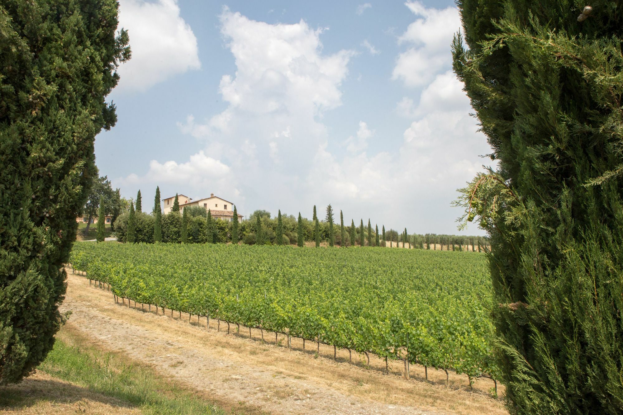 Le Buche Wine Resort&Spa Macciano Kültér fotó