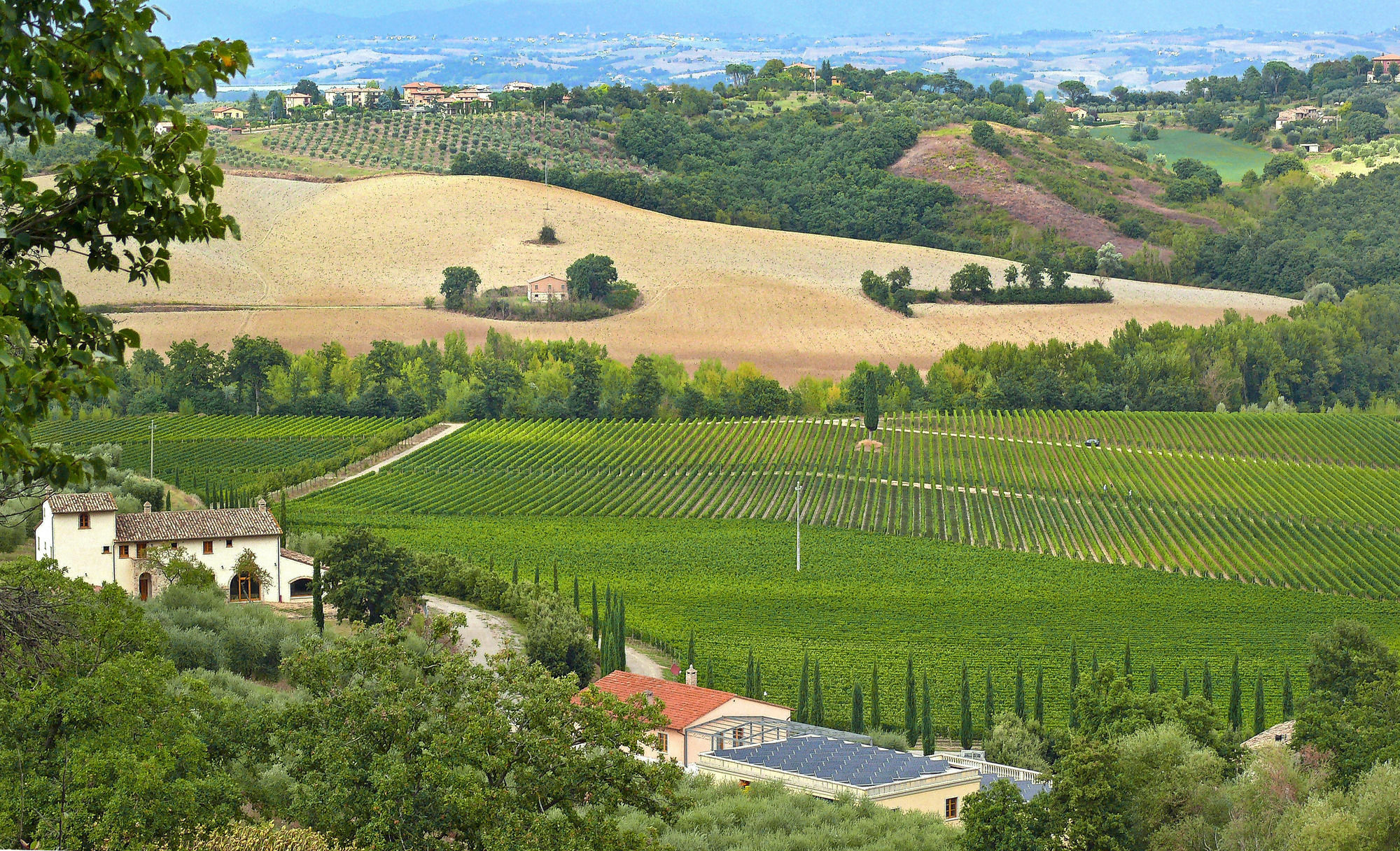 Le Buche Wine Resort&Spa Macciano Kültér fotó
